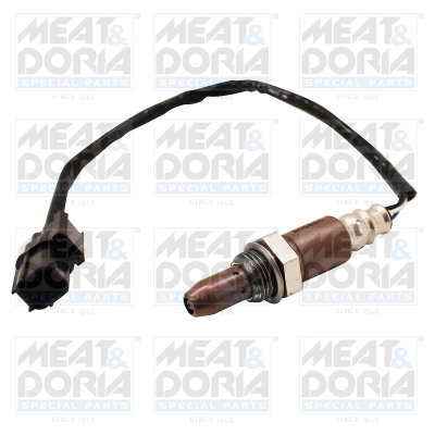 Oxygen Sensor